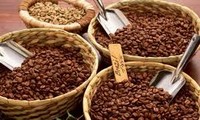 Vietnam needs to have common coffee contract template