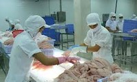 Vietnamese export value rises in July