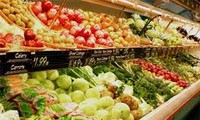 Vietnam’s agricultural products introduced in Russia