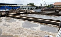 Experts discuss mercury pollution in Vietnam