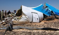 Russia suspends flights to Egypt