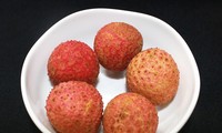 Fresh litchi served on Vietnam Airlines' flights 