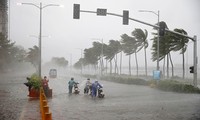 Typhoon Mangkhut, Florence bring destruction in their wake