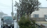 Typhoon Trami hits Japan, killing 2