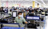 30 years of Vietnam’s FDI attraction reviewed