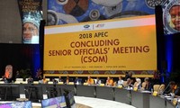 CSOM prepares for APEC Economic Leaders’ Meeting 2018