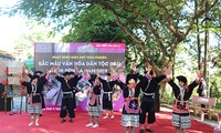 Son La province’s program promotes Dao ethnic culture