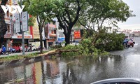 Storm Noul wreaks havoc in central region after making landfall