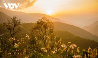 Sunset in northern mountainous areas