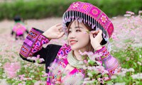 Mùa hoa tam giác mạch nở rộ, thiếu nữ rủ nhau lên Đồng Văn săn ảnh đẹp