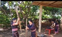Phụ nữ dân tộc Jrai giã gạo