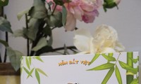 “Hồn Đất Việt” – Dự án sách pop-up song ngữ gìn giữ nét đẹp tò he