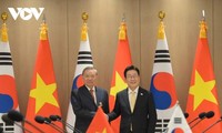 Quan hệ Việt Nam - Hàn Quốc góp phần vào hòa bình, thịnh vượng của ASEAN