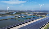 Năng lượng tái tạo: Điểm sáng trong cuộc chiến chống biến đổi khí hậu