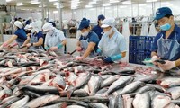 Ngành thủy sản hướng tới mục tiêu đạt kim ngạch xuất khẩu 11 tỷ USD