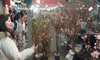 Phố cổ Hà Nội khai mạc chợ hoa truyền thống