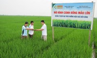 FAO acknowledges Vietnam’s  poverty reduction achievements 