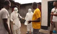 Vietnam steps up measures against Ebola virus