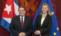 EU, Cuba restart political dialogue 