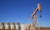 Oil prices slump on US oil report