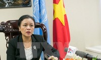 Vietnam supports UN peacekeeping efforts