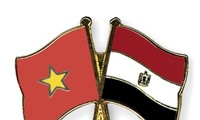 Vietnamese ambassador presents credentials to Egyptian President