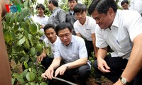 Deputy Prime Minister Vuong Dinh Hue works with Gia Lai province