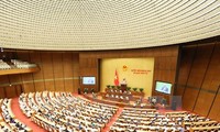 Lawmakers: Piloting specific mechanisms policies for HCMC is needed 