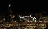 Russia Saratov crash: Investigators comb crash site near Moscow