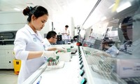 Vietnam-German pilot project on nurse training reviewed 