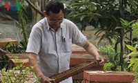 Son La farmer prosper from bee-keeping