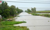 Late Prime Minister turns fallow Mekong land into major rice basket