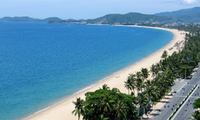 Young Vietnamese expats clean up beach in Quang Ngai