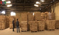 Vietnam sets 20 billion USD wood export target for 2025