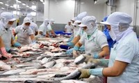 Vietnam’s foreign trade to exceed 500 billion USD in 2019