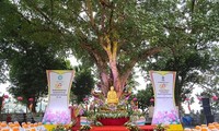 Ceremony marks 60th anniversary of Indian Bodhi tree given to Vietnam