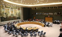 UNSC discusses UN-ASEAN cooperation 