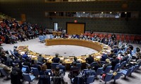 UN Security Council holds debate on countering terrorism in Africa