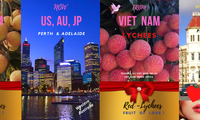 More Vietnamese lychee shipped to Australia