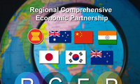 RCEP meeting in Hanoi to bring new change to regional, global trade