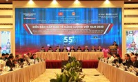 Vietnam Energy Summit 2020: Private sector encouraged to engage in energy development