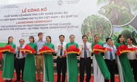 Ben Tre exports first batch of fruit to EU under EVFTA