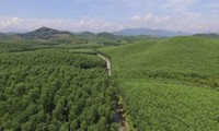 4,200 ha of forests certificated by FSC