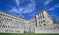 Vietnam appreciates WTO’s central role