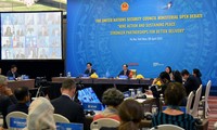 Vietnam chairs UNSC open debate on mine action