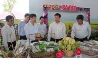 350 businesses showcase products at Dong Thap’s OCOP Forum