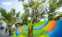 Kites flying high in the sky in central Vietnam