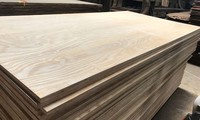 US delays investigation on hardwood plywood imports from Vietnam 