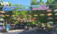 1st sycamore tree festival opens in Hoi An