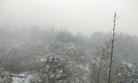 Snow covers top of Mount Fansipan